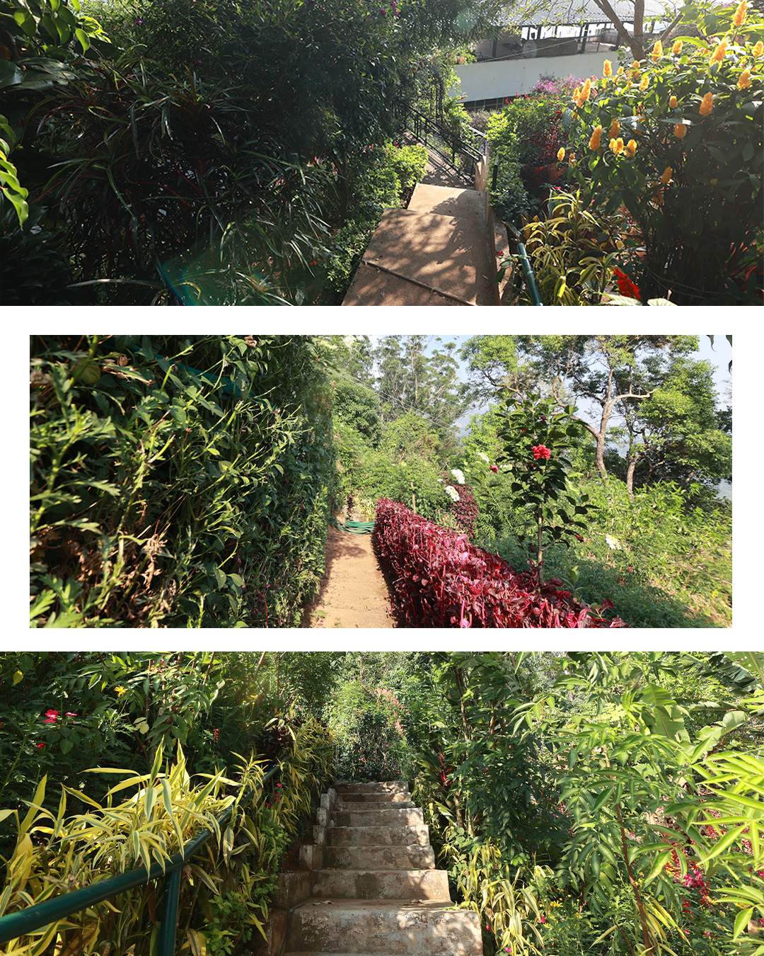 Munnar Misty mountain resort